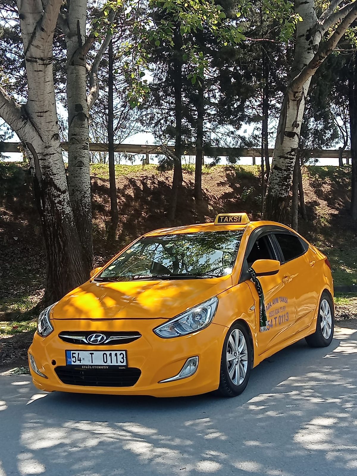 Erenler Taksi aracı doğa yolunda